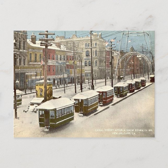 New Orleans Canal St Snow 1895 Postcard (Front)