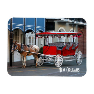 New Orleans Carriage Ride Magnet