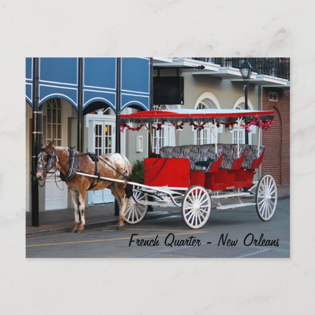 New Orleans Carriage Ride Postcard (Front)