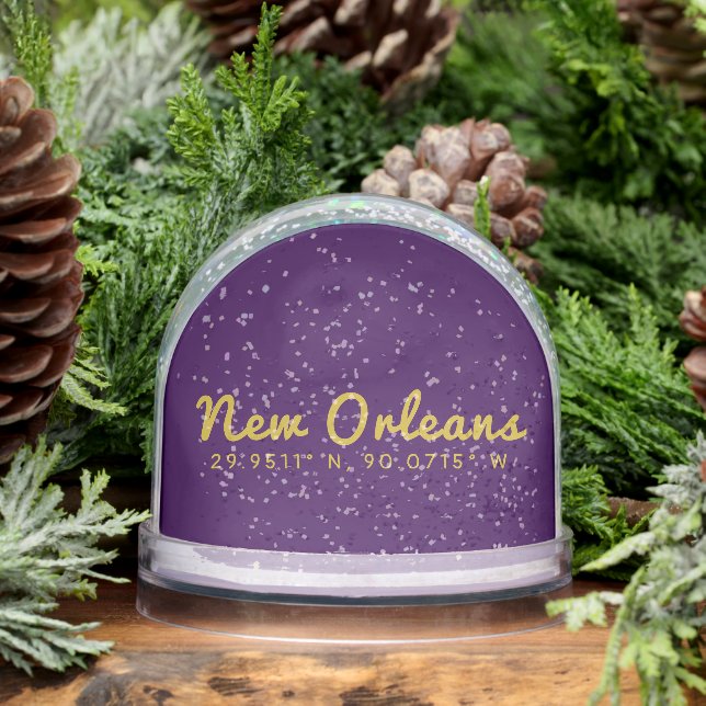 New Orleans Coordinates Snowglobe (Winter)