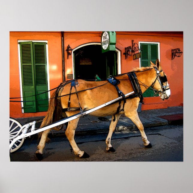 New Orleans French Quarter Carriage Mule Print (Front)