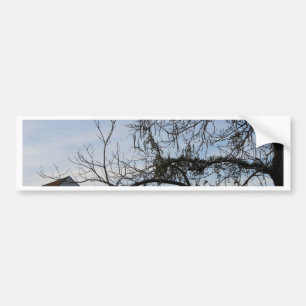 New Orleans Lifestyle Bumper Sticker