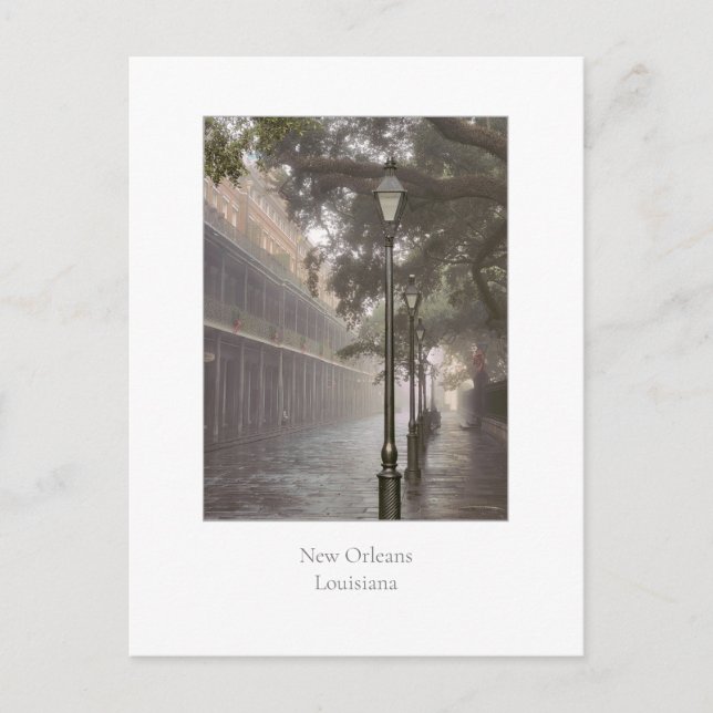 New Orleans, Louisiana Postcard (Front)