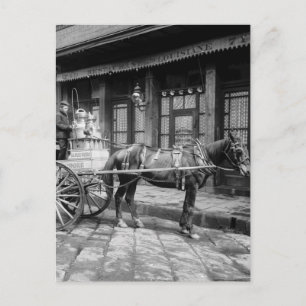 New Orleans Milk Cart: 1903 Postcard