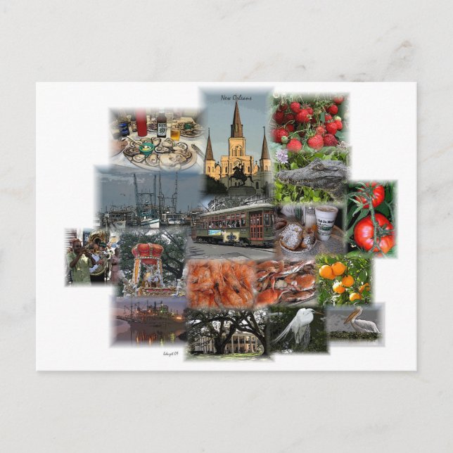 New Orleans Postcard (Front)