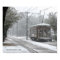 New Orleans Streetcar Snow