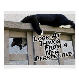 New Perspective Motivating Cat Photo Art Poster