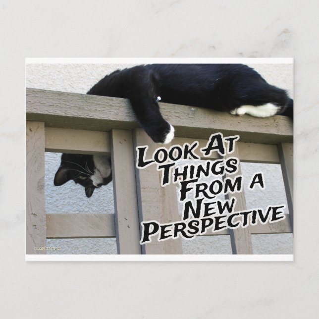 New Perspective Postcard (Front)
