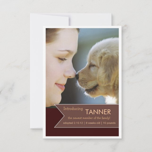 New Pet Brown Banner Photo Announcement (Front)