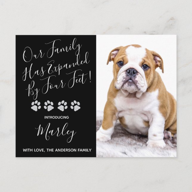 New Pet Family Expanded by Four Feet Puppy Dog Announcement Postcard (Front)