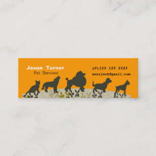 New Pet Parade Veterinarians Pet Care Mini Business Card