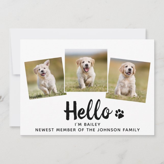 New Pet Photo Collage Hello Puppy Dog Announcement (Front)
