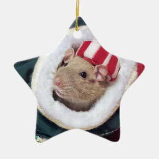 NEW! Pet Rat Coco Ornament