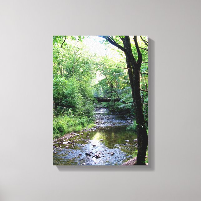 New Photo Sunlight Tennessee Mountains Creek Trees Canvas Print (Front)