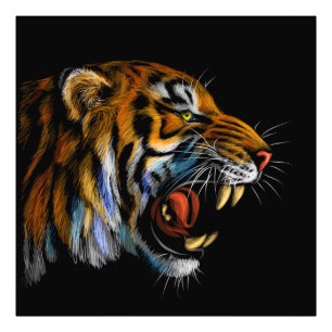 New POWERFUL TIGER Photo Print