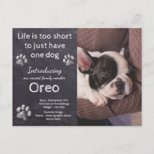 New Puppy- Dog Photo Chalkboard Puppy Announcement Postcard