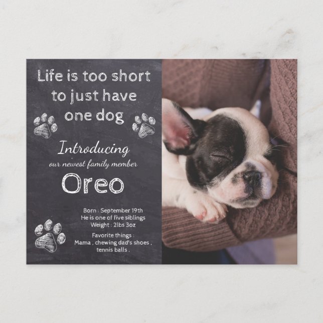 New Puppy- Introducing Puppy Dog Chalkboard Puppy Announcement Postcard (Front)