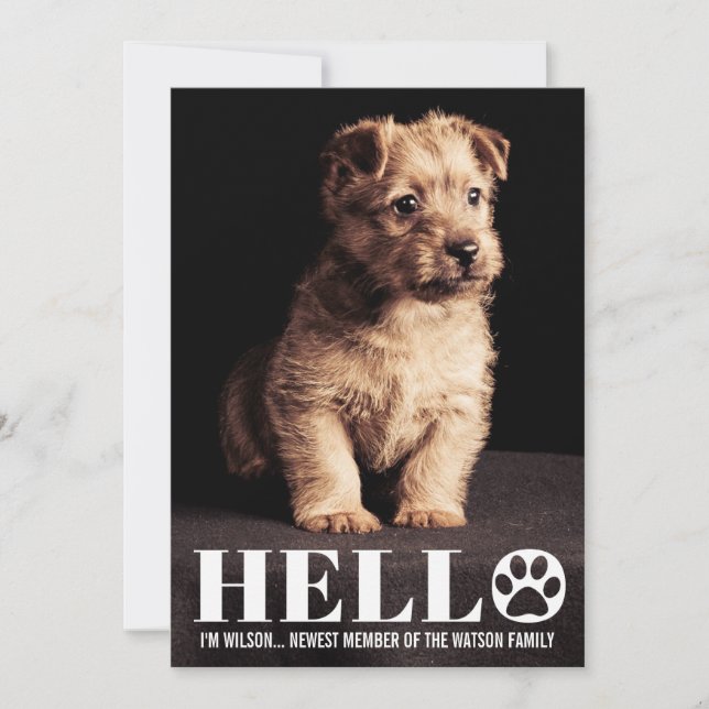 New Puppy Kitten Adoption Announcement Photo Card (Front)