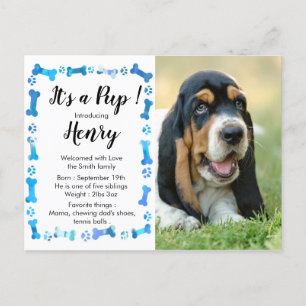 New Puppy New Pet- Blue Boy Dog Puppy Announcement Postcard