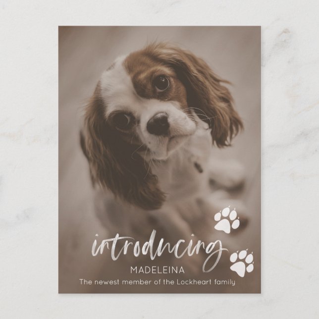 New Puppy or Dog Announcement, Pet Adoption Card (Front)