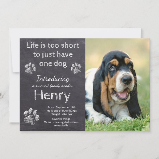 New Puppy - Rustic Pet Dog Photo Chalkboard Puppy Announcement (Front)