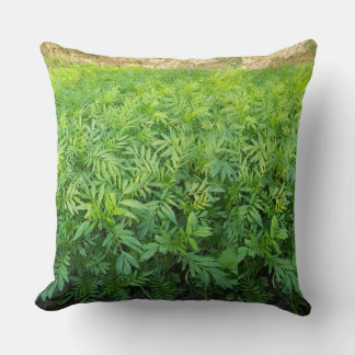 New purdect  throw pillow