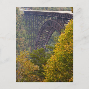 New River Gorge Bridge, New River Gorge Postcard