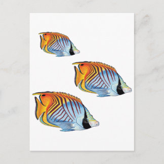 NEW SCHOOL DAY POSTCARD