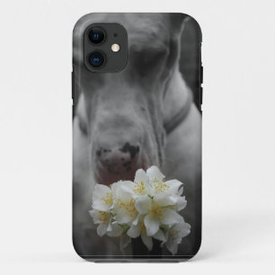 New Smartphone personal case