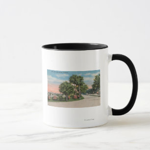 New Smyrna, Florida - Street View of City Park Mug