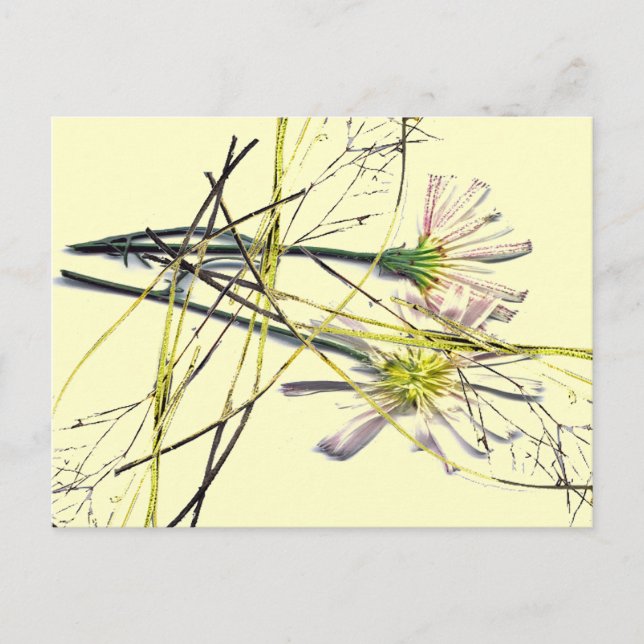 NEW VINTAGE POSTCARD (Front)