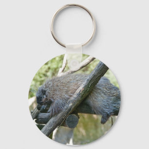New World Porcupine Keychain
