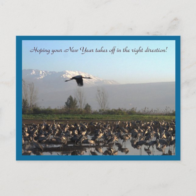 New Year Beginning Well Postcard (Front)