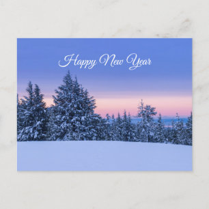 New Year Winter Forest Landscape at Sunset   Postcard