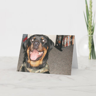 new years 002 holiday card