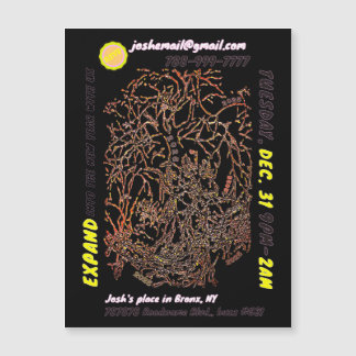 NEW YEAR'S EVE PARTY magnetic invite