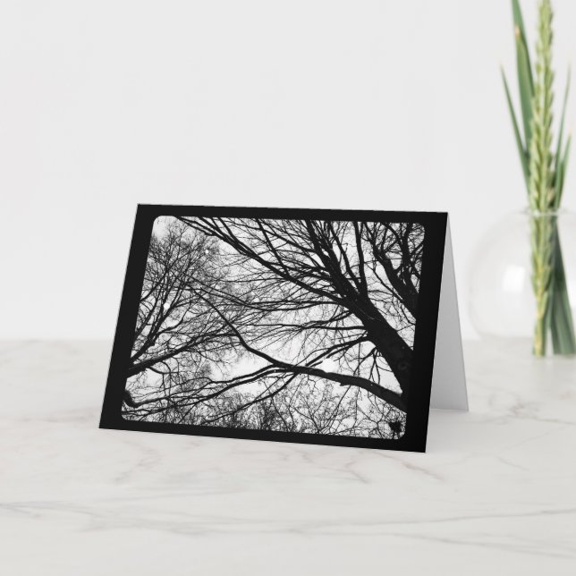 New Year's & Solstice: Snowfall on Maple Holiday Card (Front)