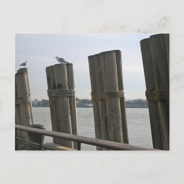 New York - Battery Park Postcard (Front)