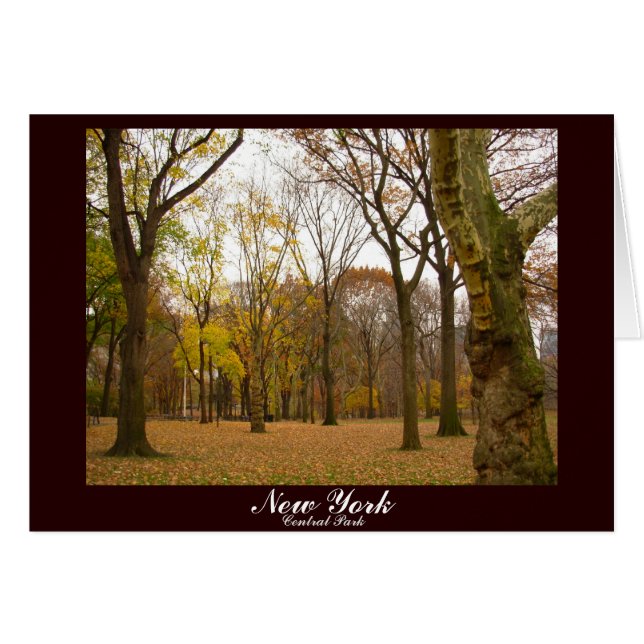 New York Card Central Park New York Souvenir Card (Front Horizontal)
