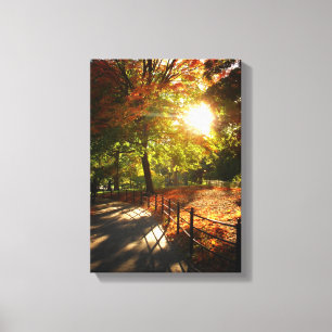 New York City Autumn Sun Canvas Print