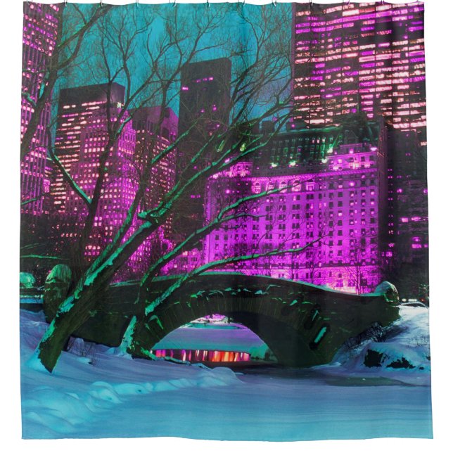 New-York City Central Park Winter Landscape (Front)
