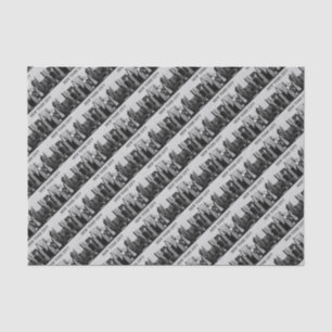 New York City  Lower-Manhattan Pro Photo Tissue Paper