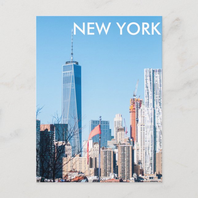 New York City skyline Postcard (Front)