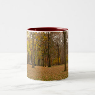 New York Cup Central Park New York Mug
