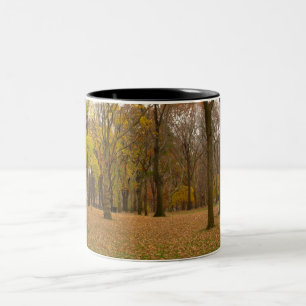 New York Cup Central Park New York Mug