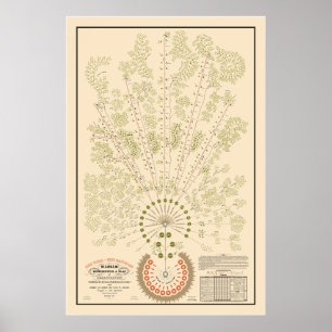 New York & Erie Railroad Org - Light - Colour Poster