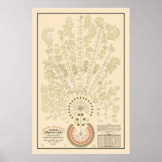 New York & Erie Railroad Org - Light - Colour Poster