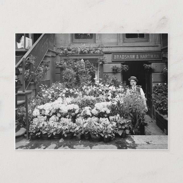 New York Flower Shop, 1895 Postcard (Front)
