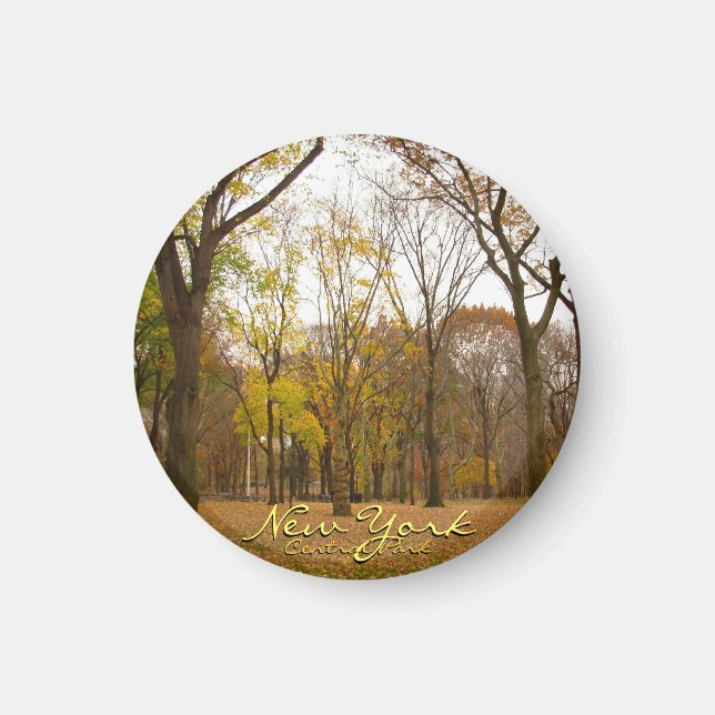 New York Fridge Magnet Central Park NYC Magnet (Front)