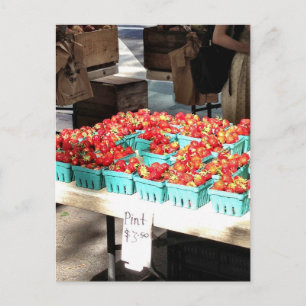New York Greenmarket Farmers Market Strawberries Postcard